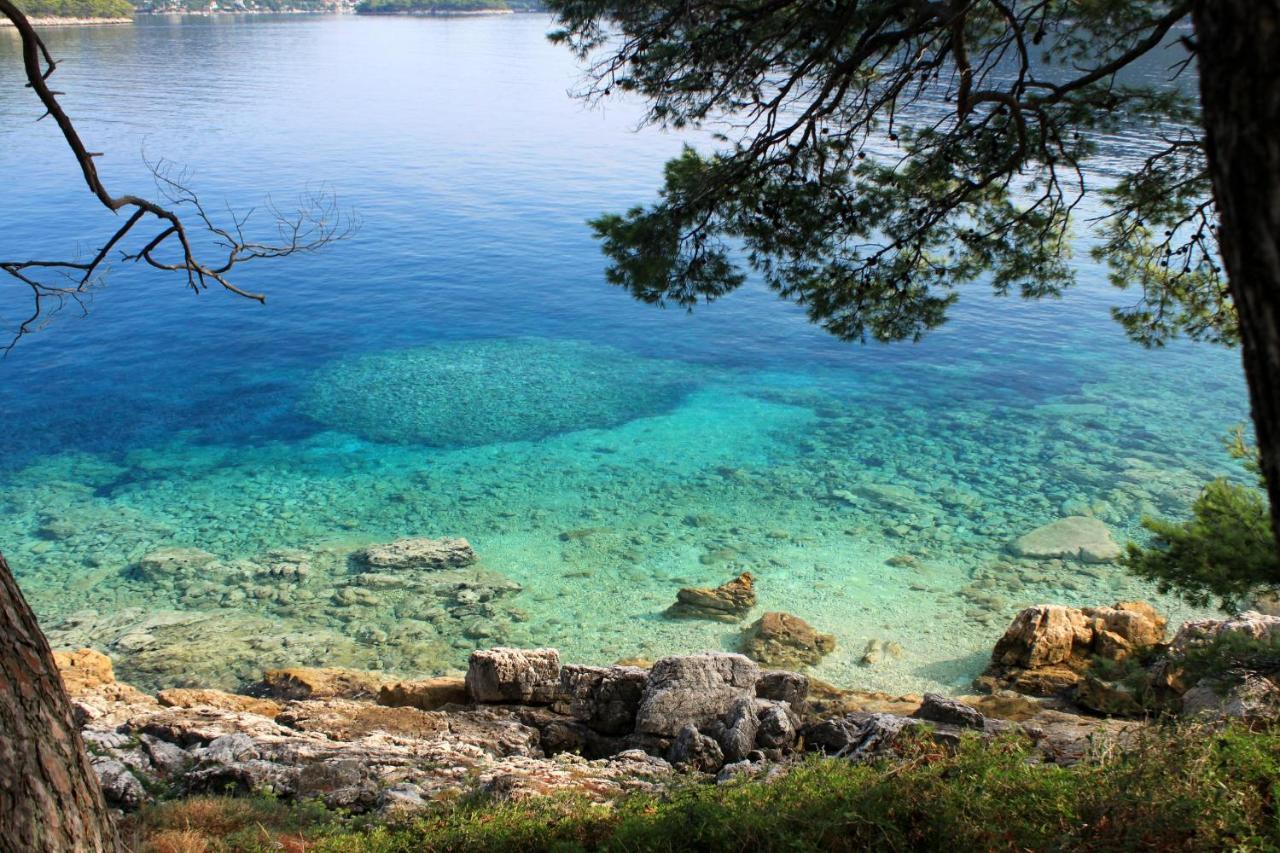 Apartments By The Sea Ubli, Lastovo - 8354 Uble المظهر الخارجي الصورة